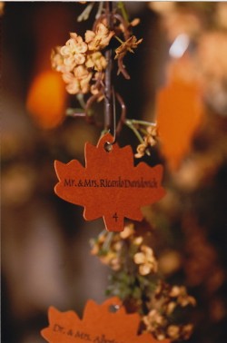 Robin placecards