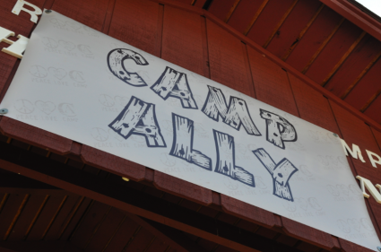 Camp Ally