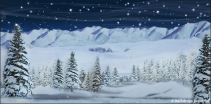 beautiful backdrops winter wonderland