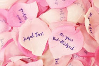 pink rose confetti-factory direct craft
