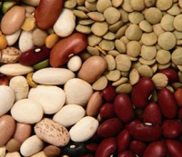 Decision Nutrition Beans