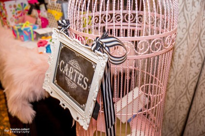 Michelle Moss Paris theme birdcage gift holder