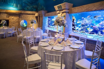 Atlantis Banquets blog